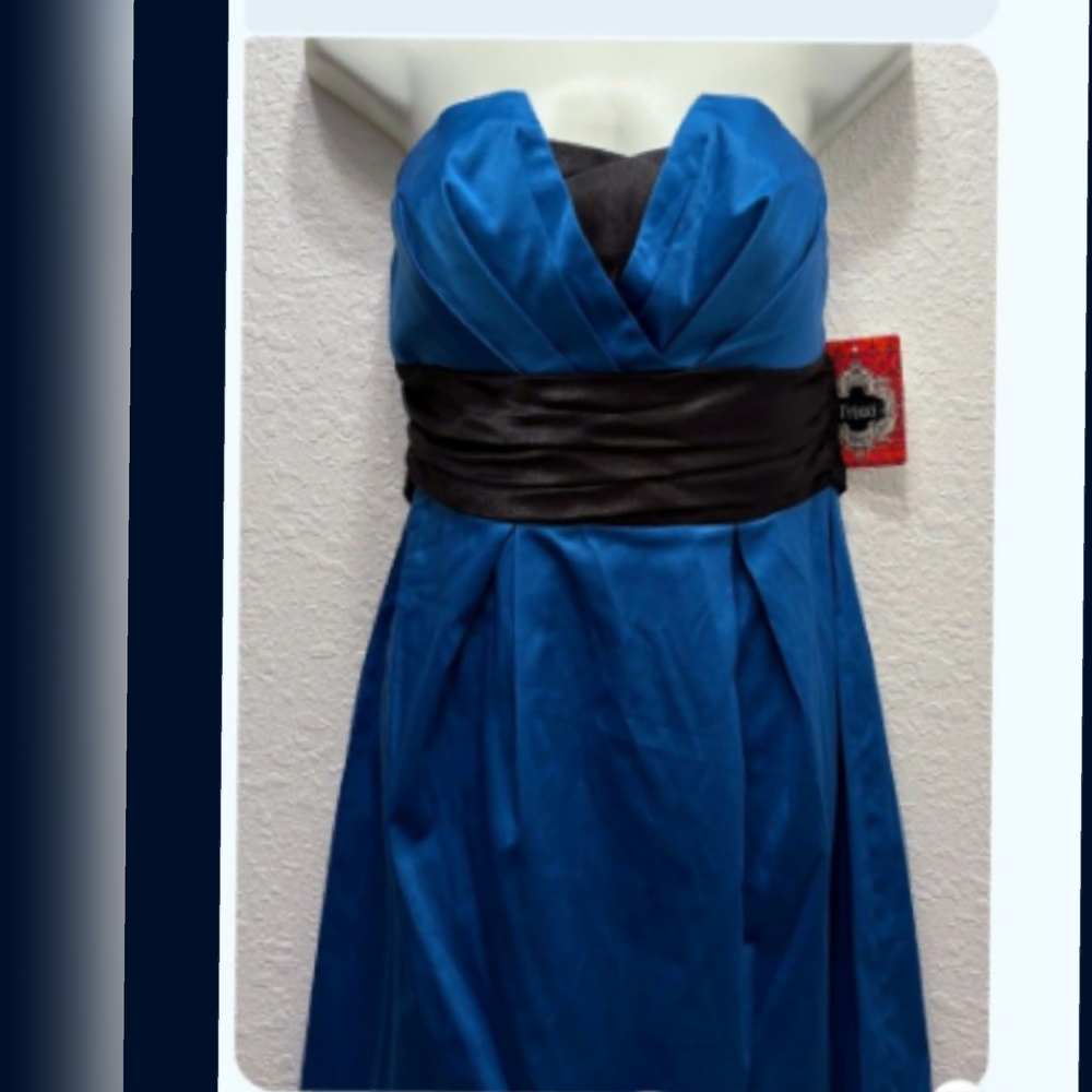 Trixxi Strapless Dress in Vibrant Blue and Black